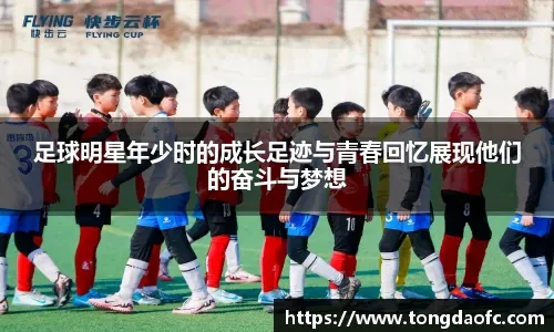 埃芬博格：博尼费斯在不莱梅体能太差